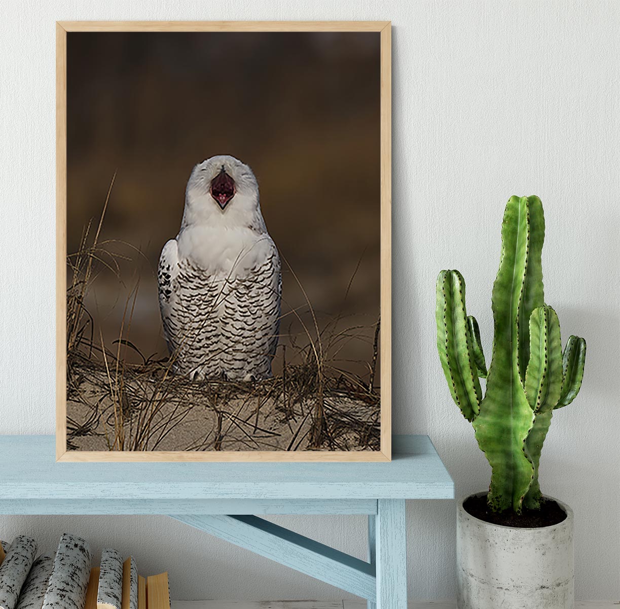 A Snowy Owl Chirping Framed Print - Canvas Art Rocks - 4