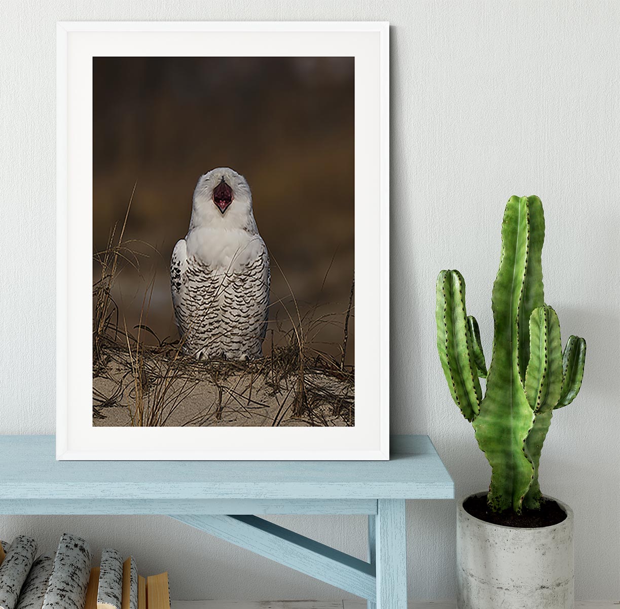 A Snowy Owl Chirping Framed Print - Canvas Art Rocks - 5