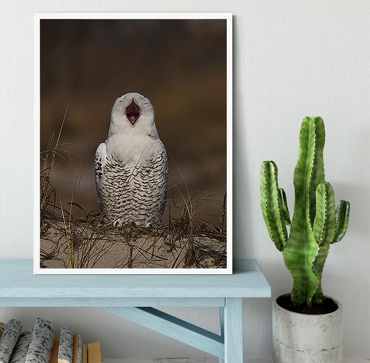 A Snowy Owl Chirping Framed Print - Canvas Art Rocks -6
