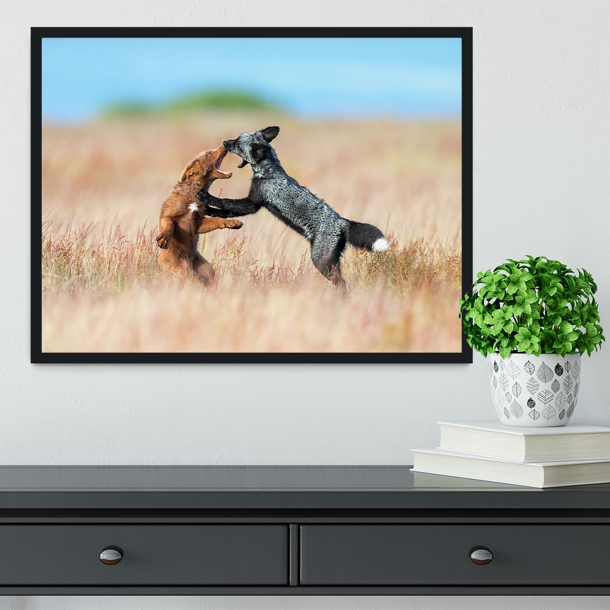 Two Foxes Wrestling Framed Print - Canvas Art Rocks - 2