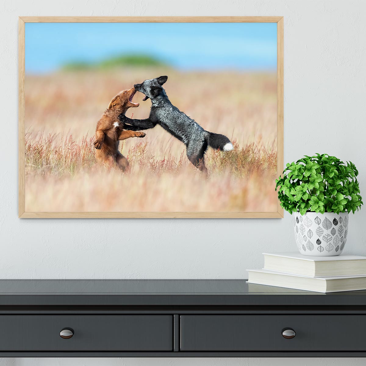 Two Foxes Wrestling Framed Print - Canvas Art Rocks - 4