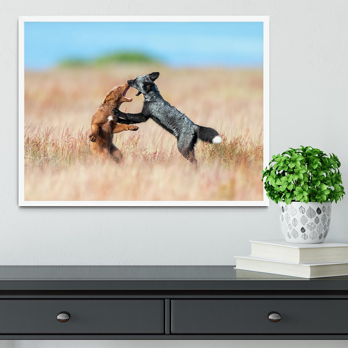 Two Foxes Wrestling Framed Print - Canvas Art Rocks -6