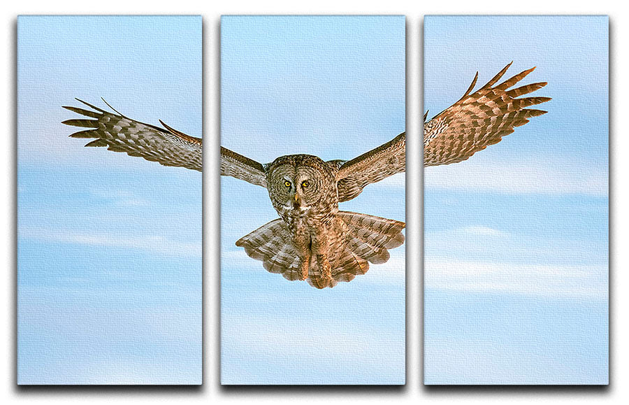 An Owl Flying 3 Split Panel Canvas Print - Canvas Art Rocks - 1