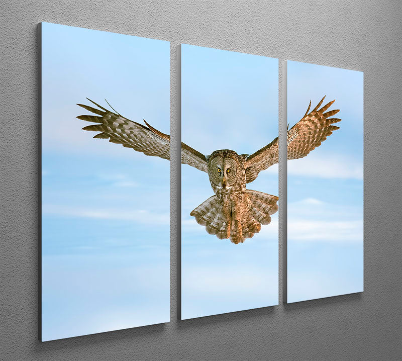 An Owl Flying 3 Split Panel Canvas Print - Canvas Art Rocks - 2
