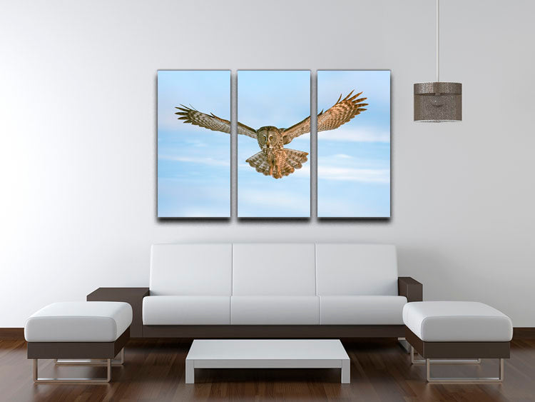 An Owl Flying 3 Split Panel Canvas Print - Canvas Art Rocks - 3