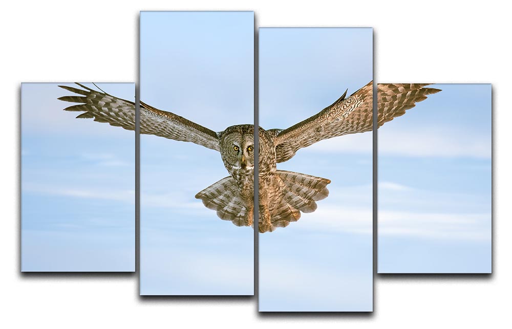 An Owl Flying 4 Split Panel Canvas - Canvas Art Rocks - 1