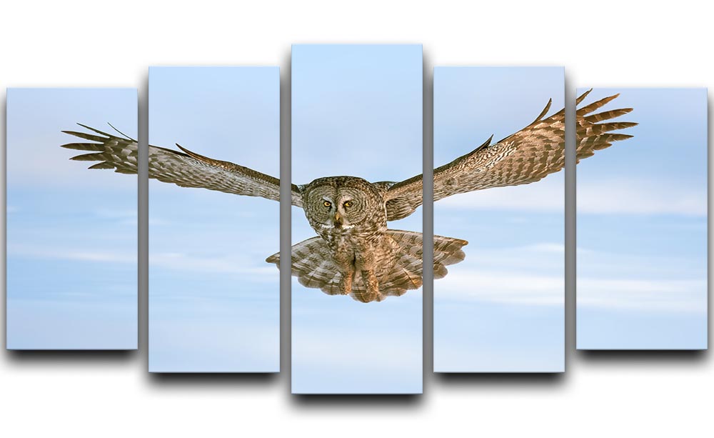 An Owl Flying 5 Split Panel Canvas - Canvas Art Rocks - 1