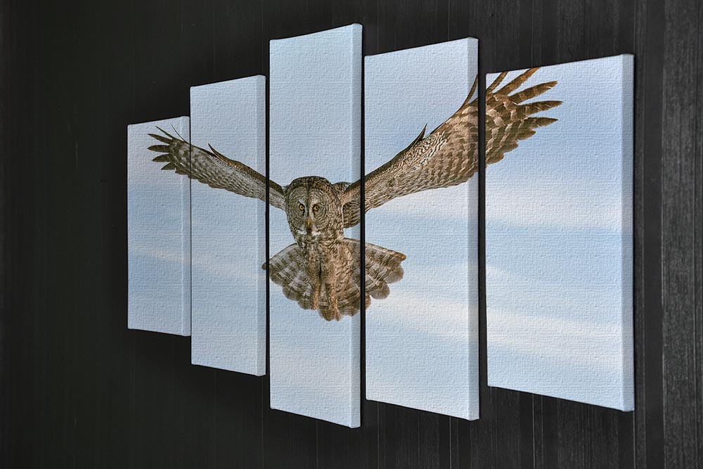 An Owl Flying 5 Split Panel Canvas - Canvas Art Rocks - 2