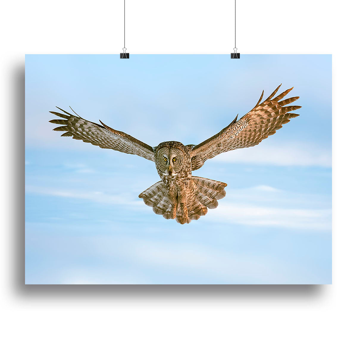 An Owl Flying Canvas Print or Poster - Canvas Art Rocks - 2