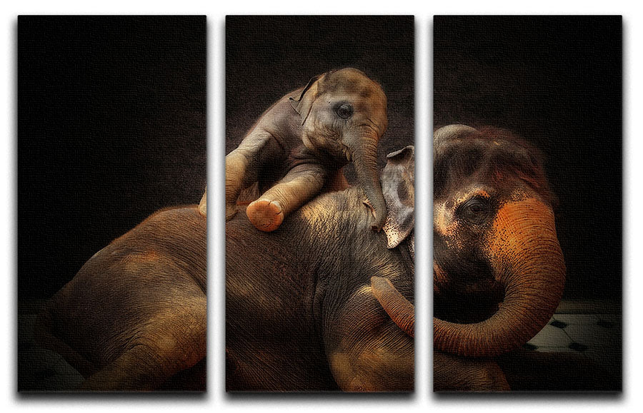 Mother And Baby Elephants 3 Split Panel Canvas Print - Canvas Art Rocks - 1