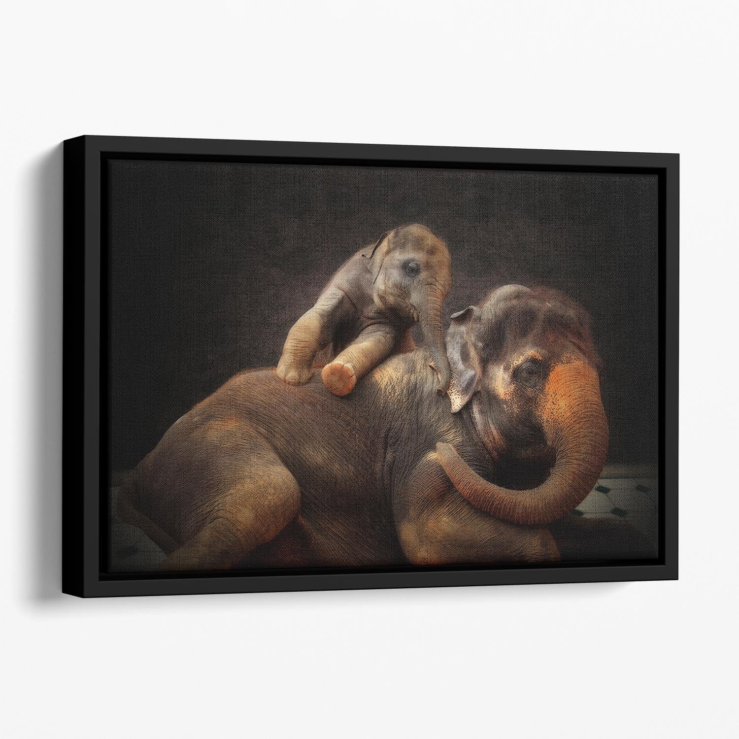 Mother And Baby Elephants Floating Framed Canvas - Canvas Art Rocks - 1