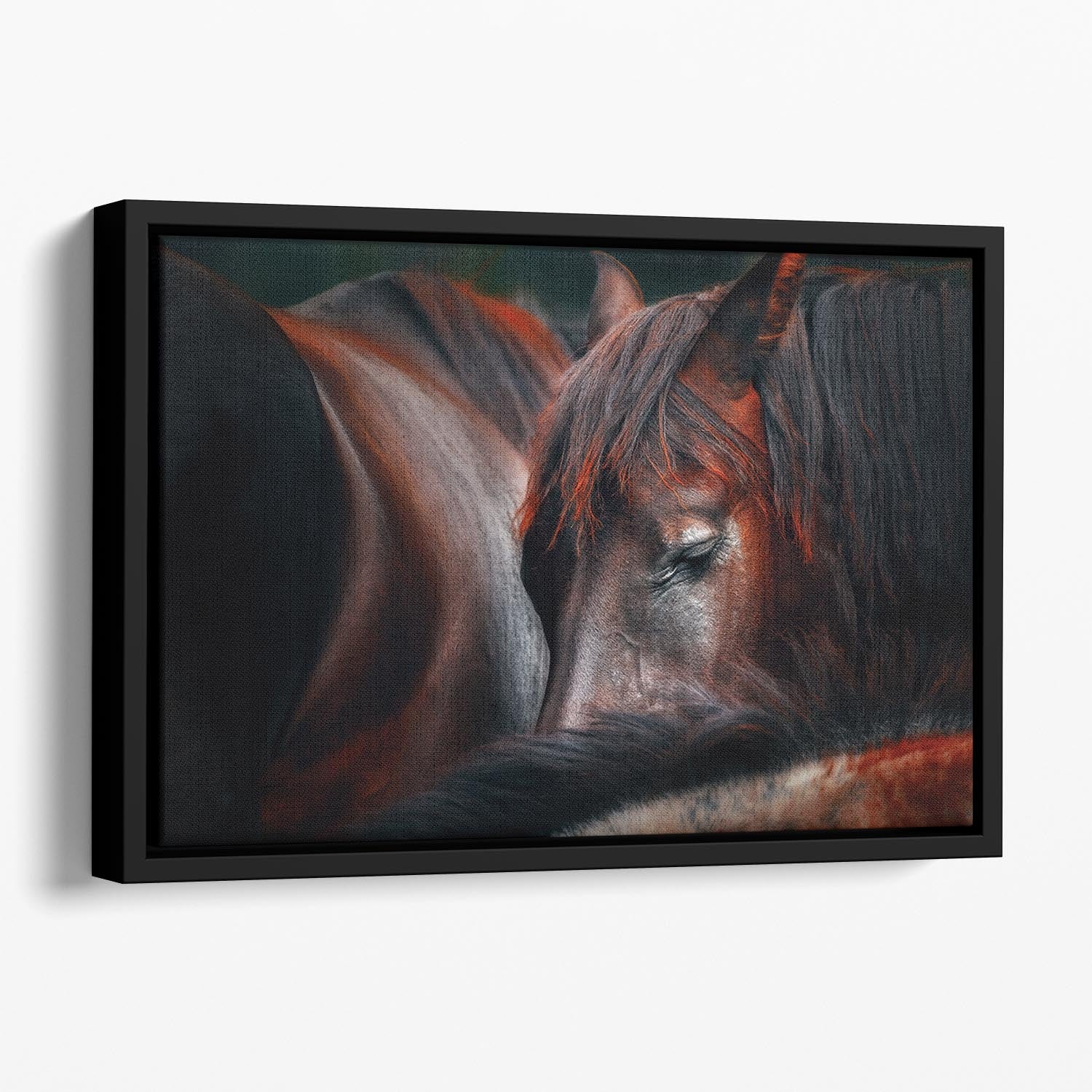 Horses Sleep In A Huddle Floating Framed Canvas - Canvas Art Rocks - 1