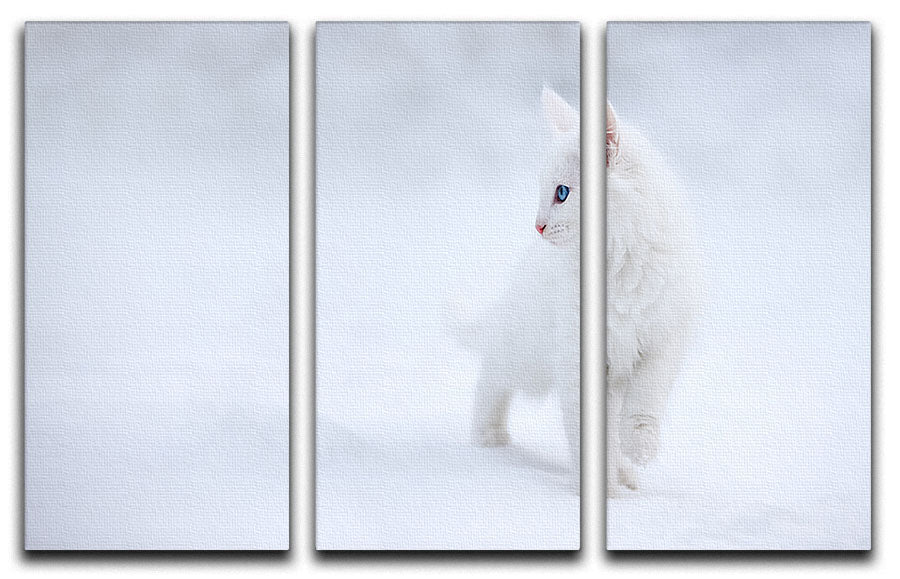 Kitten White as Snow 3 Split Panel Canvas Print - Canvas Art Rocks - 1