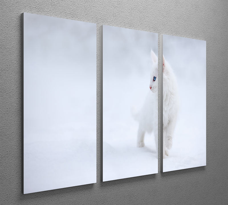 Kitten White as Snow 3 Split Panel Canvas Print - Canvas Art Rocks - 2
