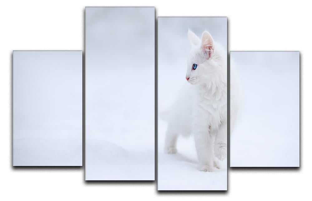 Kitten White as Snow 4 Split Panel Canvas - Canvas Art Rocks - 1