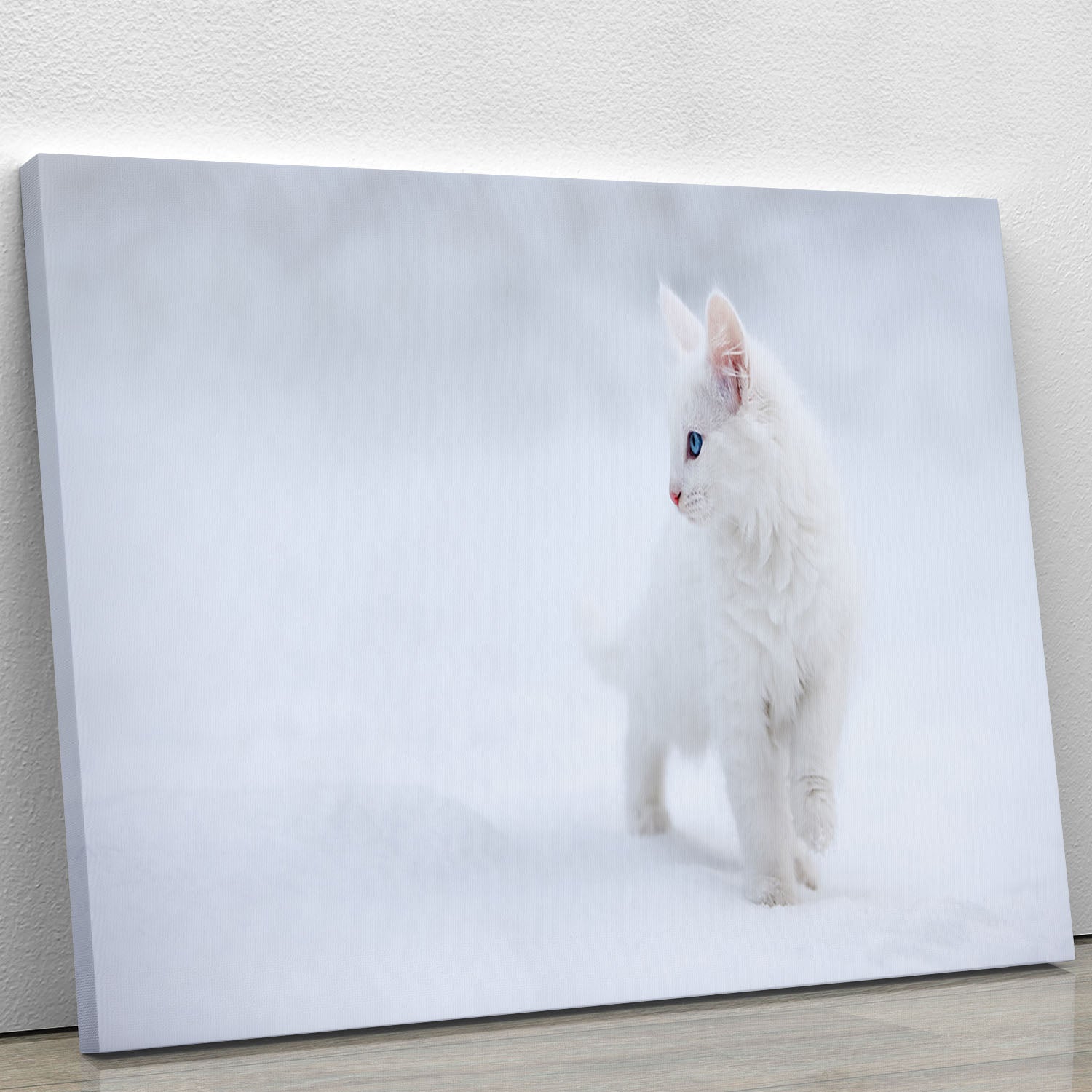 Kitten White as Snow Canvas Print or Poster - Canvas Art Rocks - 1