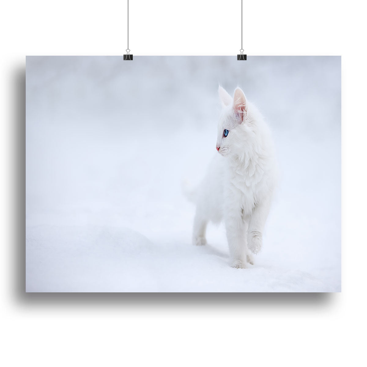 Kitten White as Snow Canvas Print or Poster - Canvas Art Rocks - 2