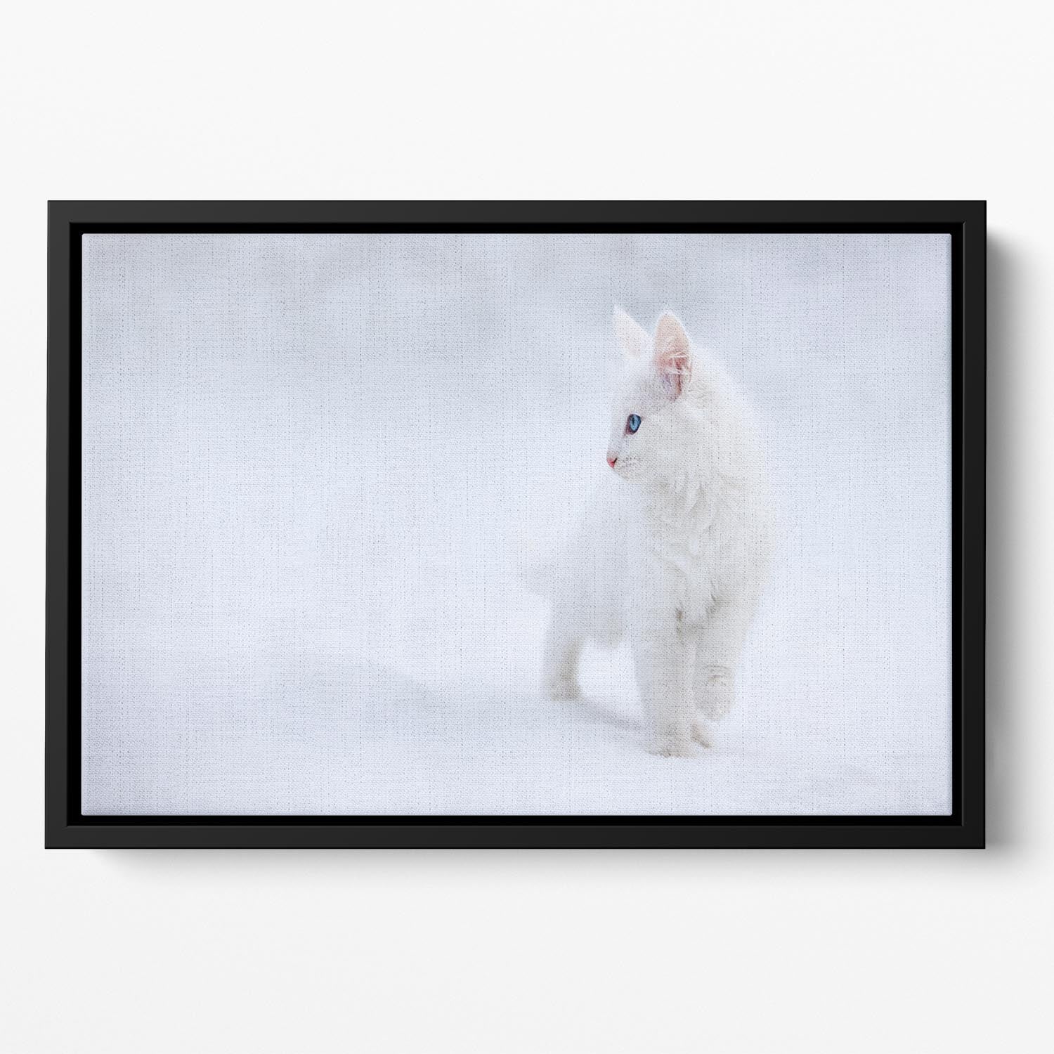 Kitten White as Snow Floating Framed Canvas - Canvas Art Rocks - 2