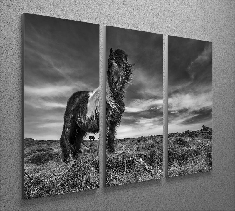 Horse Standing 3 Split Panel Canvas Print - Canvas Art Rocks - 2