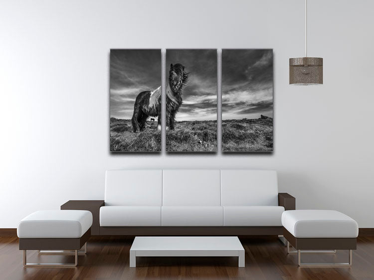 Horse Standing 3 Split Panel Canvas Print - Canvas Art Rocks - 3