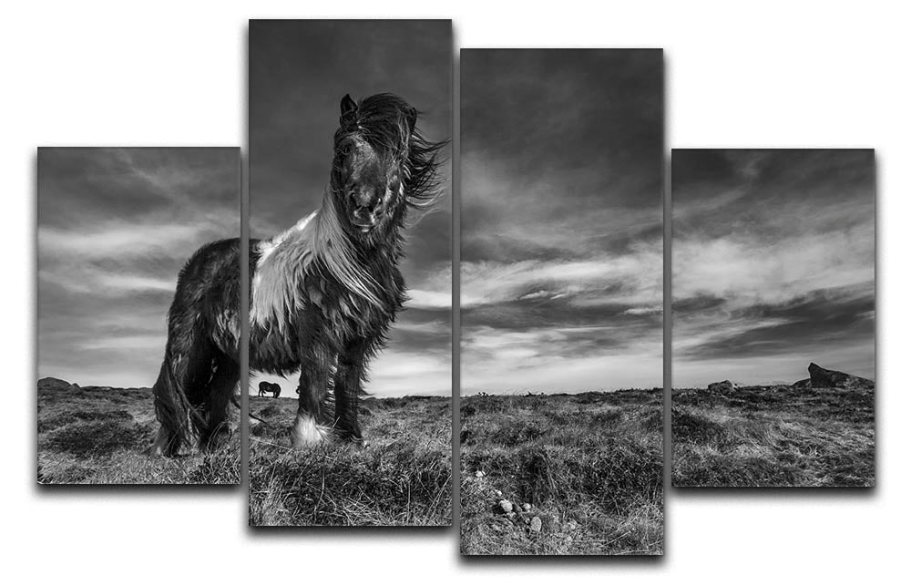 Horse Standing 4 Split Panel Canvas - Canvas Art Rocks - 1