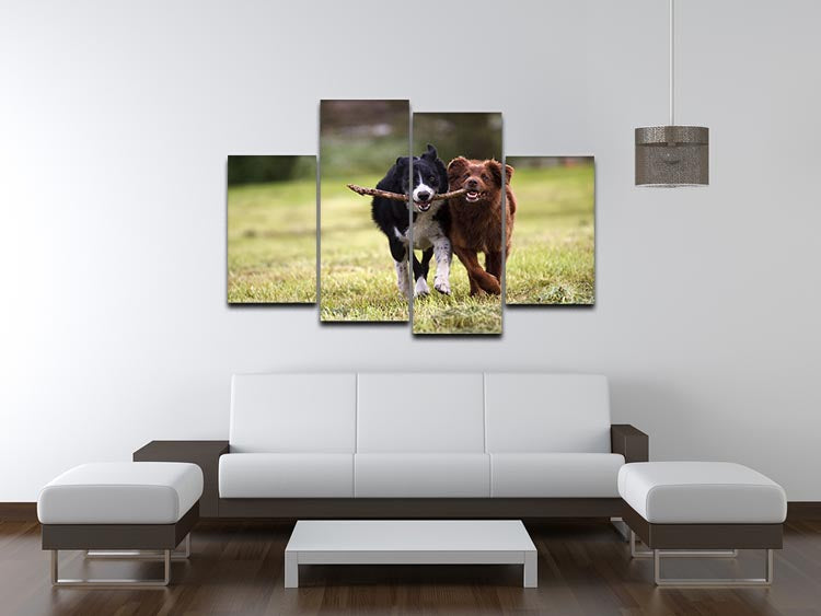 2 border collie dogs fetching a stick in open field 4 Split Panel Canvas - Canvas Art Rocks - 3