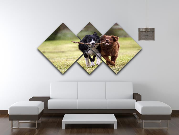 2 border collie dogs fetching a stick in open field 4 Square Multi Panel Canvas - Canvas Art Rocks - 3
