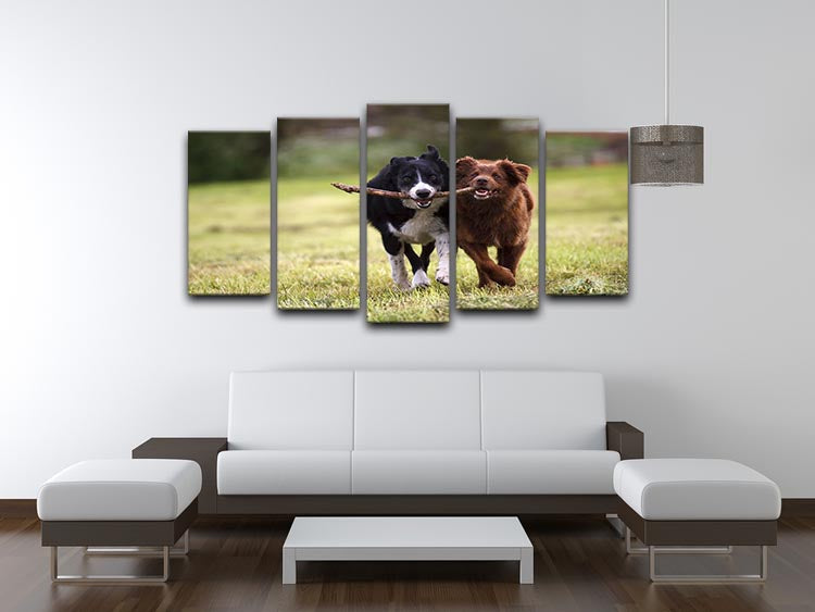 2 border collie dogs fetching a stick in open field 5 Split Panel Canvas - Canvas Art Rocks - 3