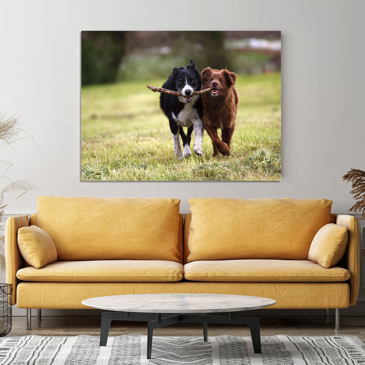 2 border collie dogs fetching a stick in open field Canvas Print or Poster - Canvas Art Rocks - 4