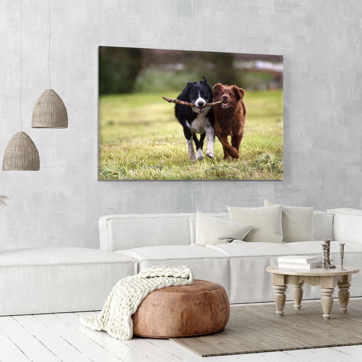 2 border collie dogs fetching a stick in open field Canvas Print or Poster - Canvas Art Rocks - 6
