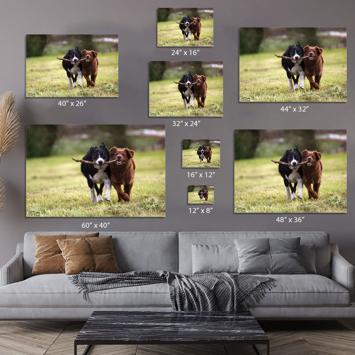 2 border collie dogs fetching a stick in open field Canvas Print or Poster - Canvas Art Rocks - 7