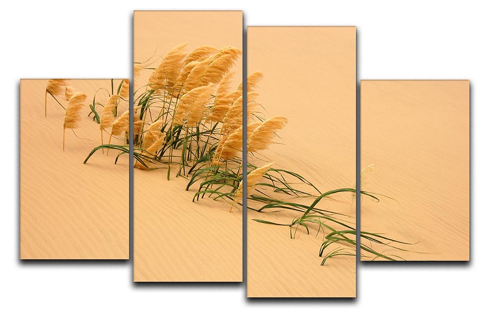 Pampas Grass In Sand Dune 4 Split Panel Canvas - Canvas Art Rocks - 1