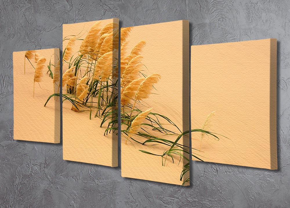 Pampas Grass In Sand Dune 4 Split Panel Canvas - Canvas Art Rocks - 2