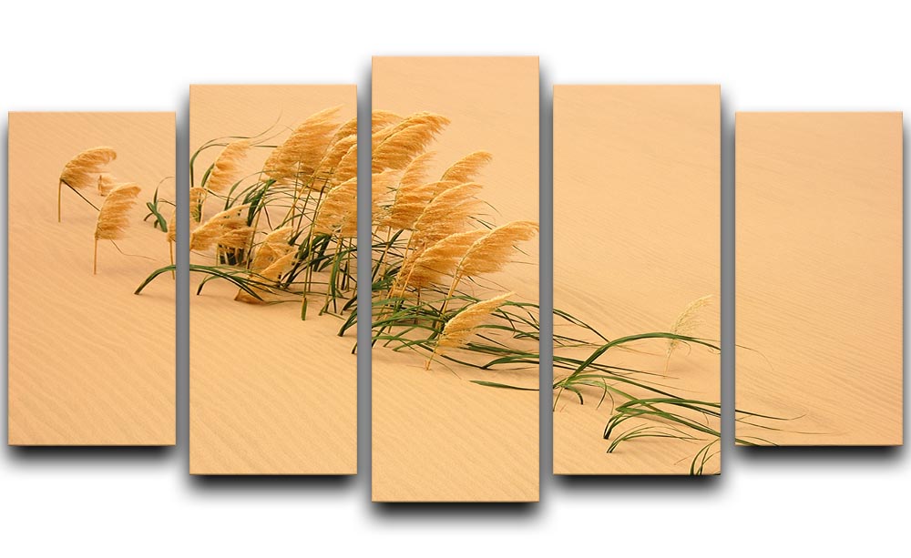Pampas Grass In Sand Dune 5 Split Panel Canvas - Canvas Art Rocks - 1