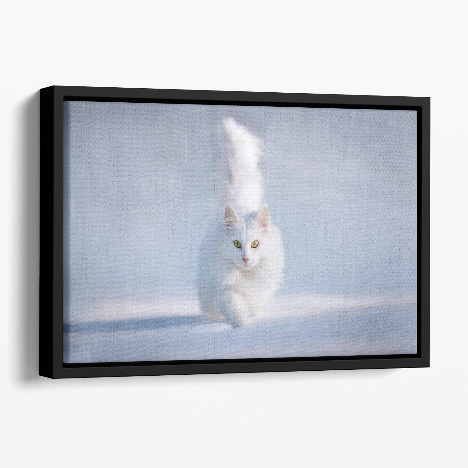White Kitten Running In Snow Floating Framed Canvas - Canvas Art Rocks - 1