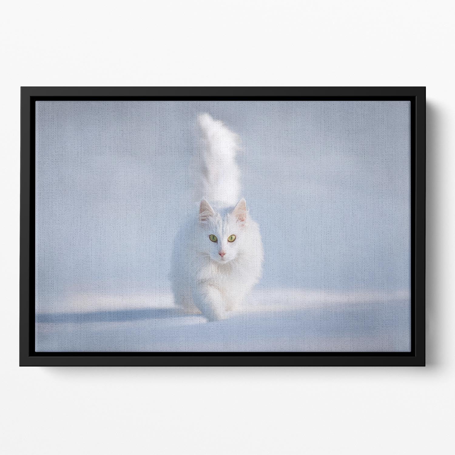 White Kitten Running In Snow Floating Framed Canvas - Canvas Art Rocks - 2