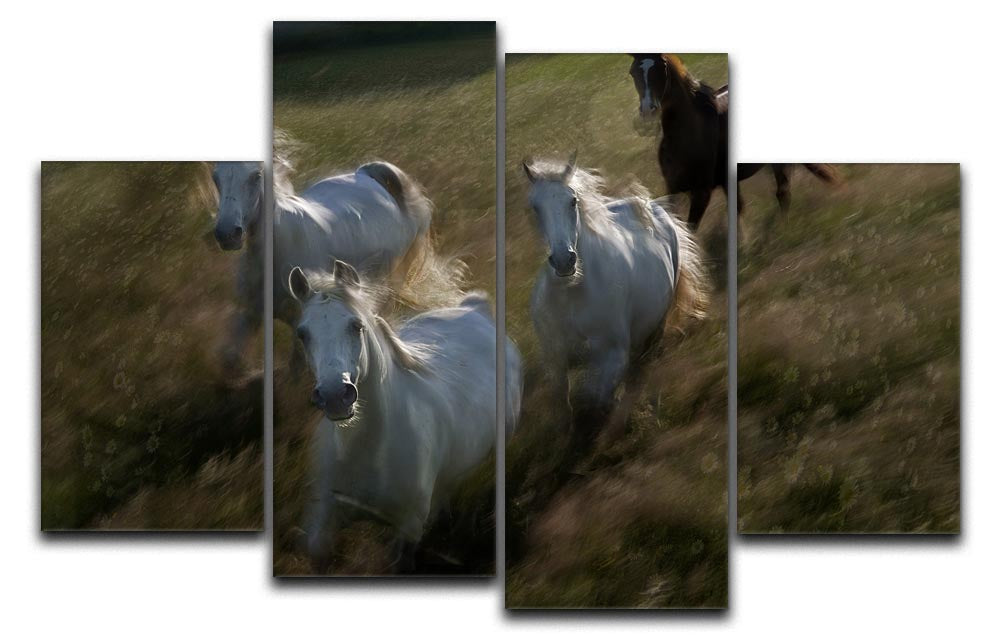 Horses Gallop in 4 Split Panel Canvas - Canvas Art Rocks - 1
