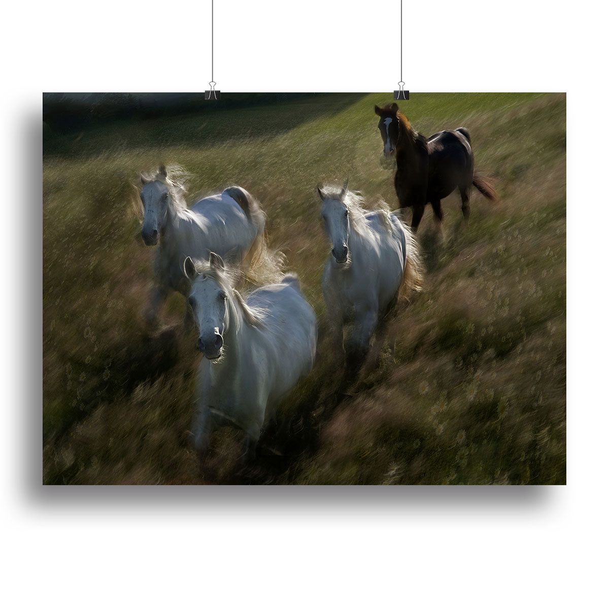 Horses Gallop in Canvas Print or Poster - Canvas Art Rocks - 2