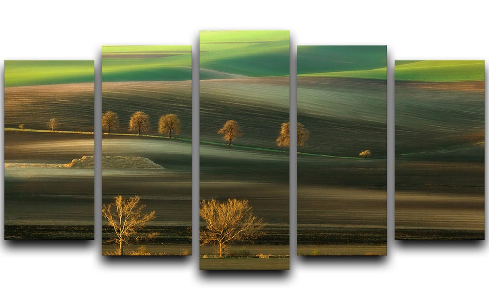 Ten 5 Split Panel Canvas - Canvas Art Rocks - 1