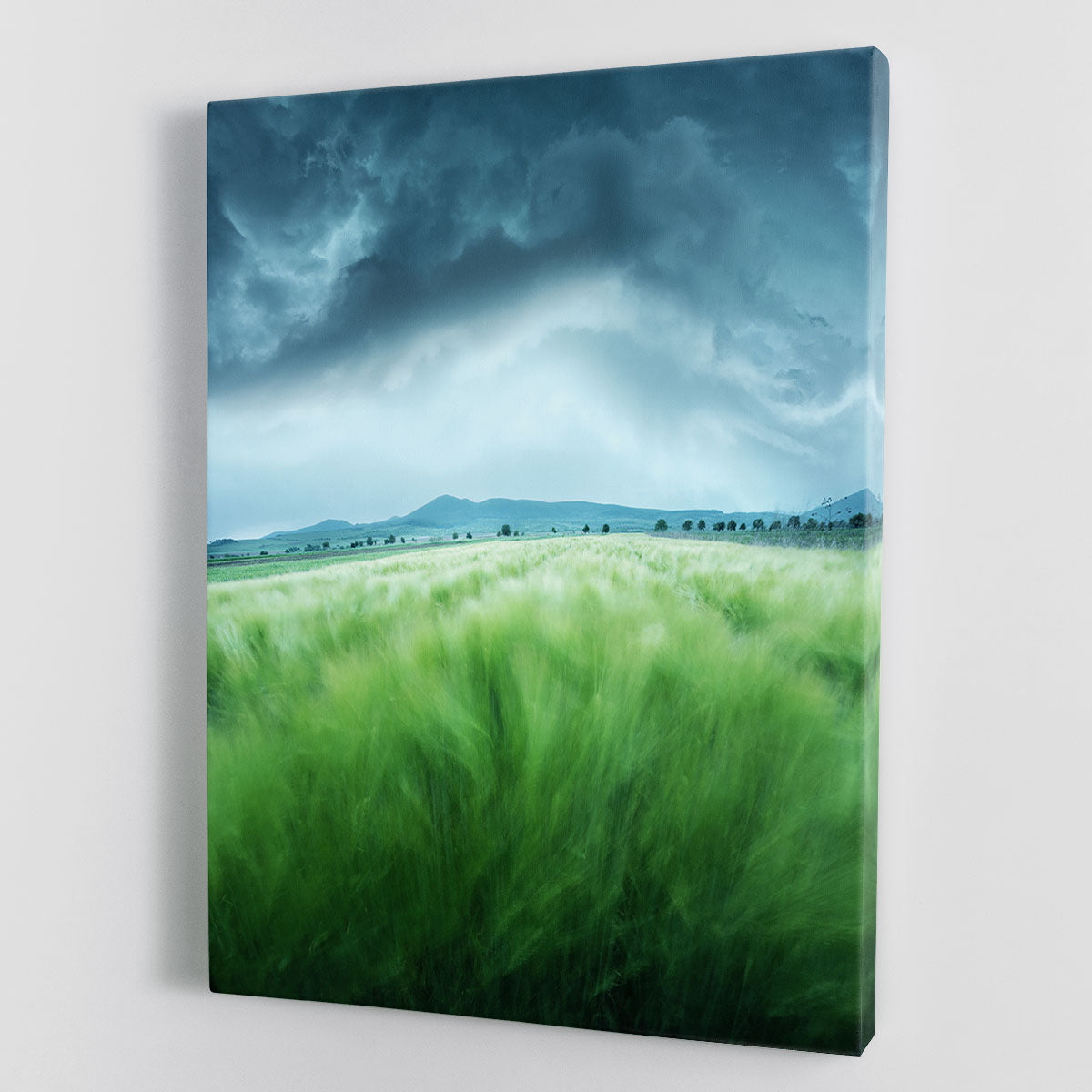 Barley Field Canvas Print or Poster - Canvas Art Rocks - 1