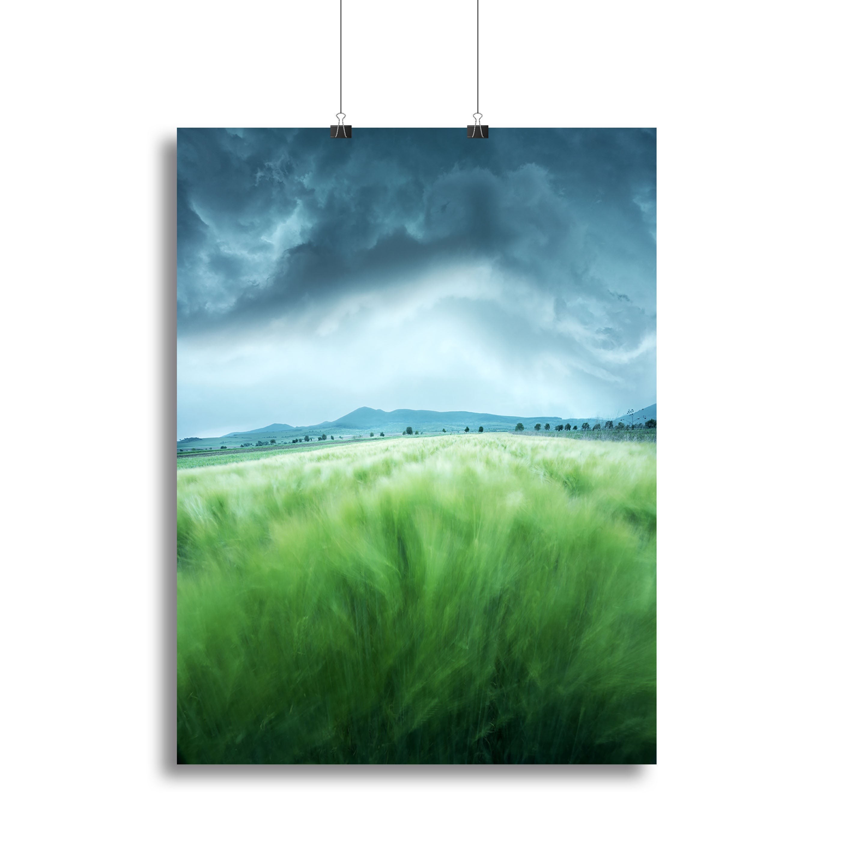 Barley Field Canvas Print or Poster - Canvas Art Rocks - 2