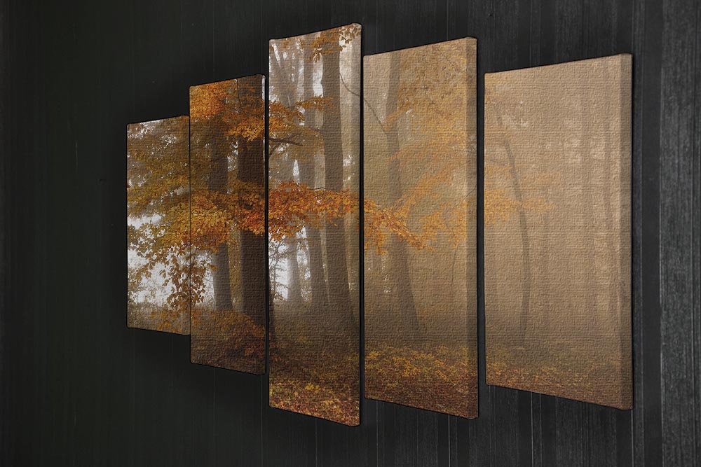 Edge Of The Woods 5 Split Panel Canvas - Canvas Art Rocks - 2