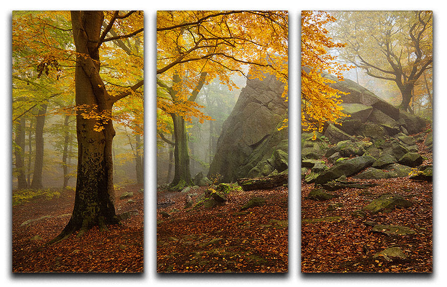 Autumn Forest 3 Split Panel Canvas Print - Canvas Art Rocks - 1