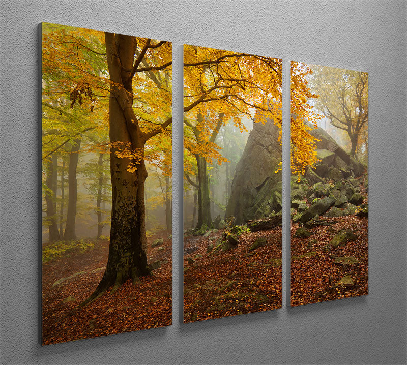 Autumn Forest 3 Split Panel Canvas Print - Canvas Art Rocks - 2
