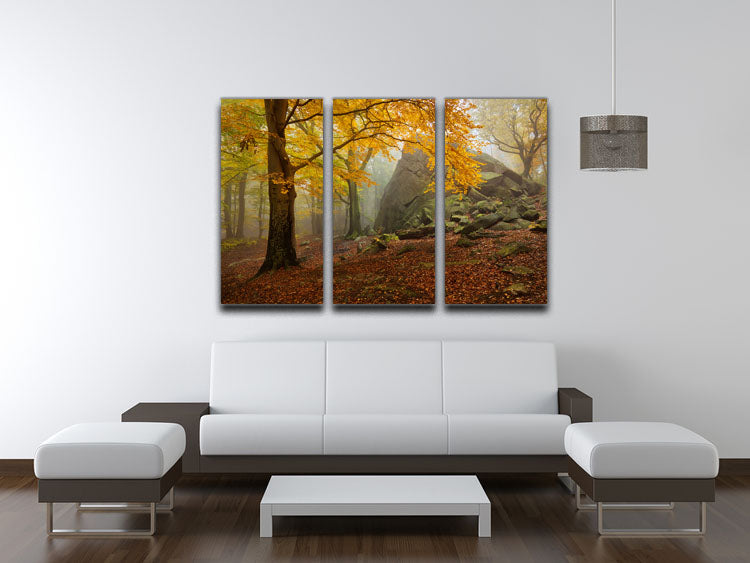 Autumn Forest 3 Split Panel Canvas Print - Canvas Art Rocks - 3