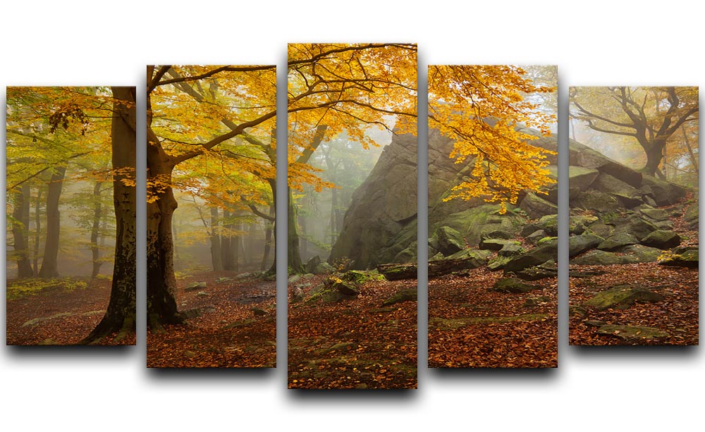 Autumn Forest 5 Split Panel Canvas - Canvas Art Rocks - 1