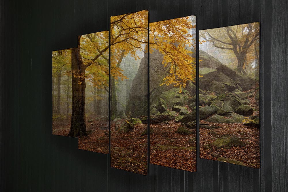 Autumn Forest 5 Split Panel Canvas - Canvas Art Rocks - 2