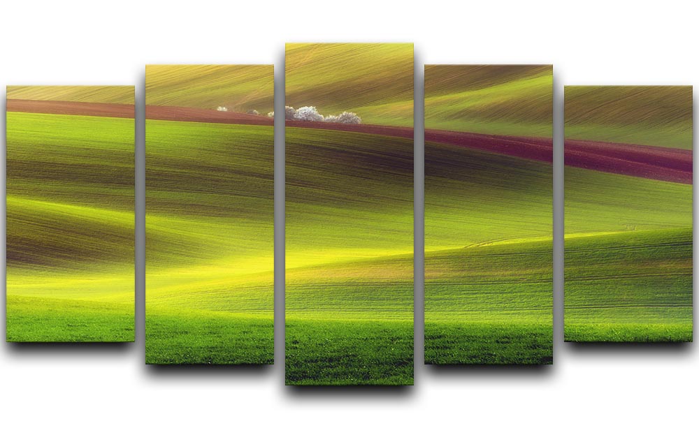 Golden Fields 5 Split Panel Canvas - Canvas Art Rocks - 1