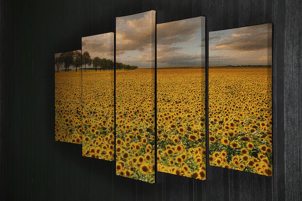Sunflowers 5 Split Panel Canvas - Canvas Art Rocks - 2