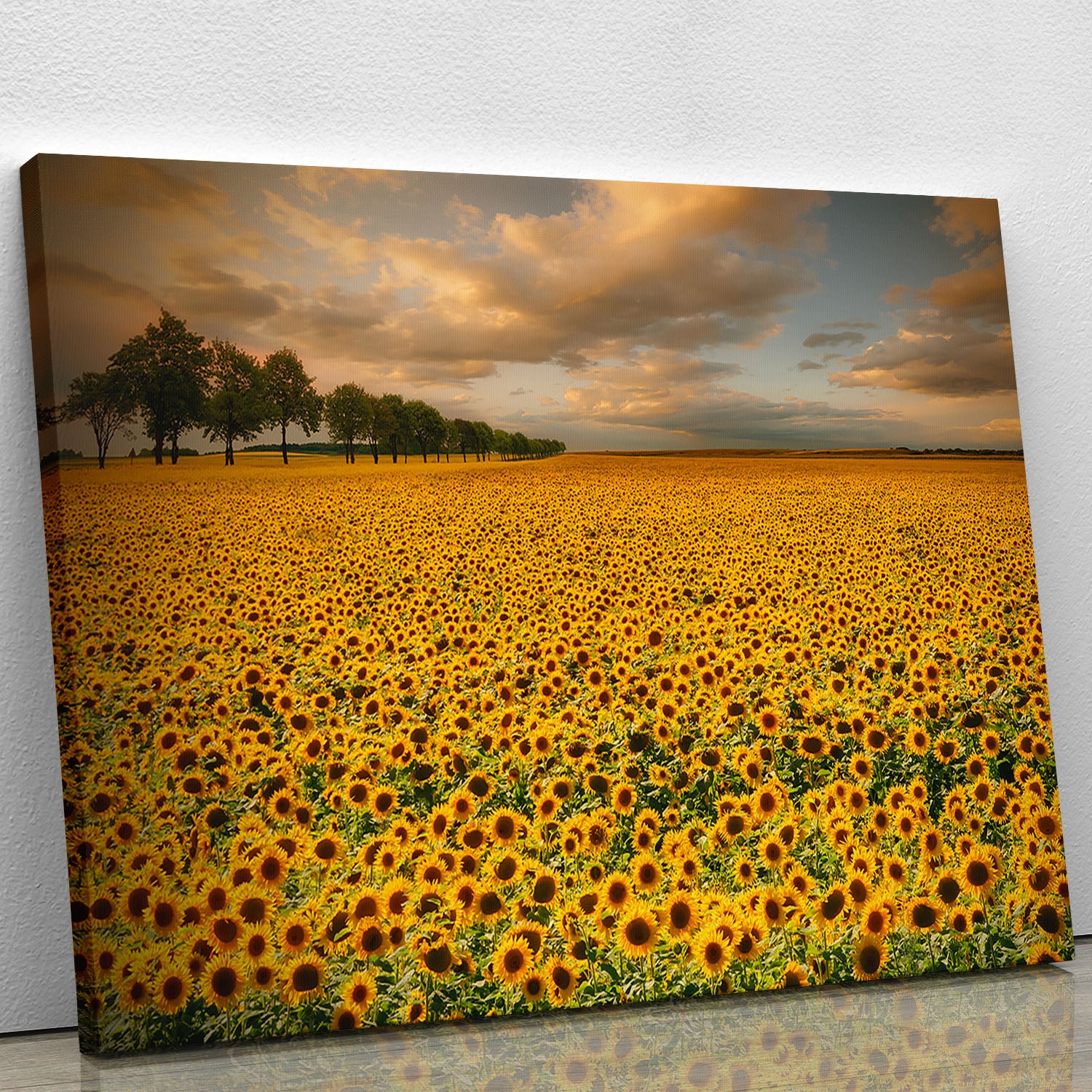 Sunflowers Canvas Print or Poster - Canvas Art Rocks - 1